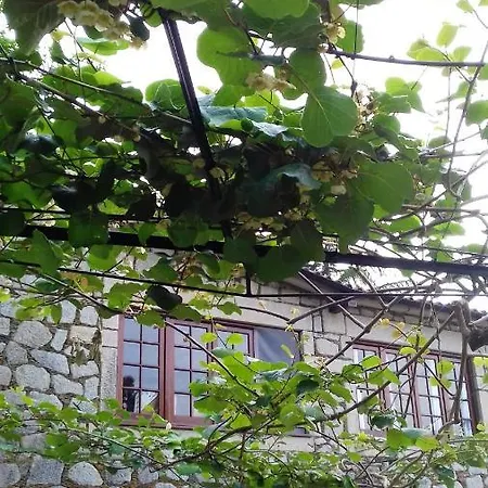 9 Bedrooms With Sea View Private Pool And Furnished Garden At Cristelo 2 Km Away From The Cristelo (Caminha)