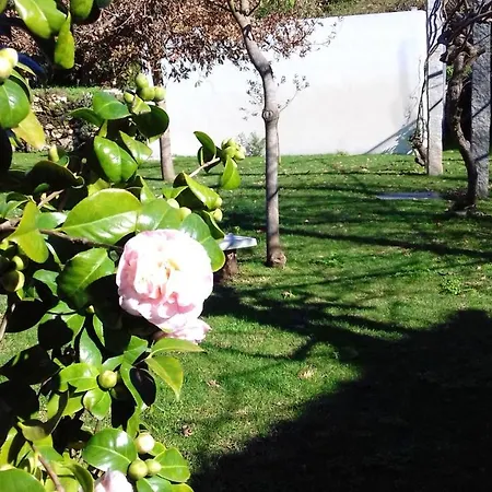 9 Bedrooms With Sea View Private Pool And Furnished Garden At Cristelo 2 Km Away From The * Cristelo (Caminha)